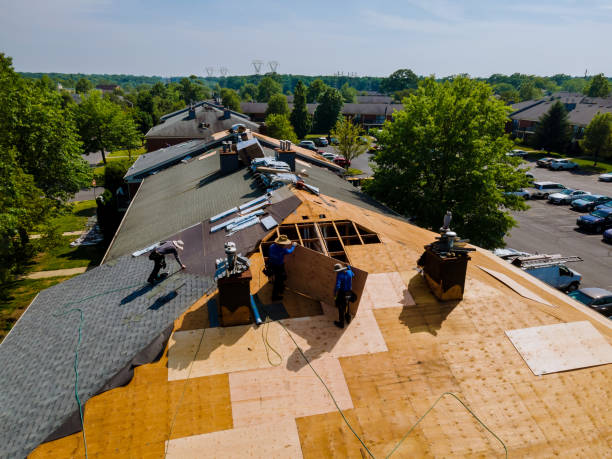 Trusted Storm Damage Roof Repair service in Piney River, VA - Brentwood Metal Roofing